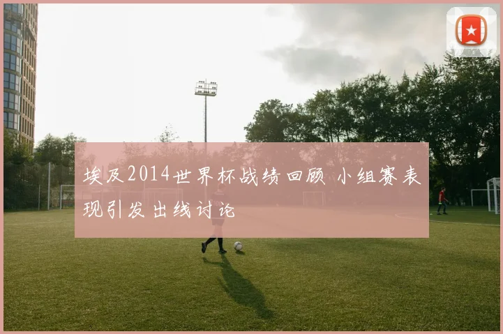 埃及2014世界杯战绩回顾 小组赛表现引发出线讨论